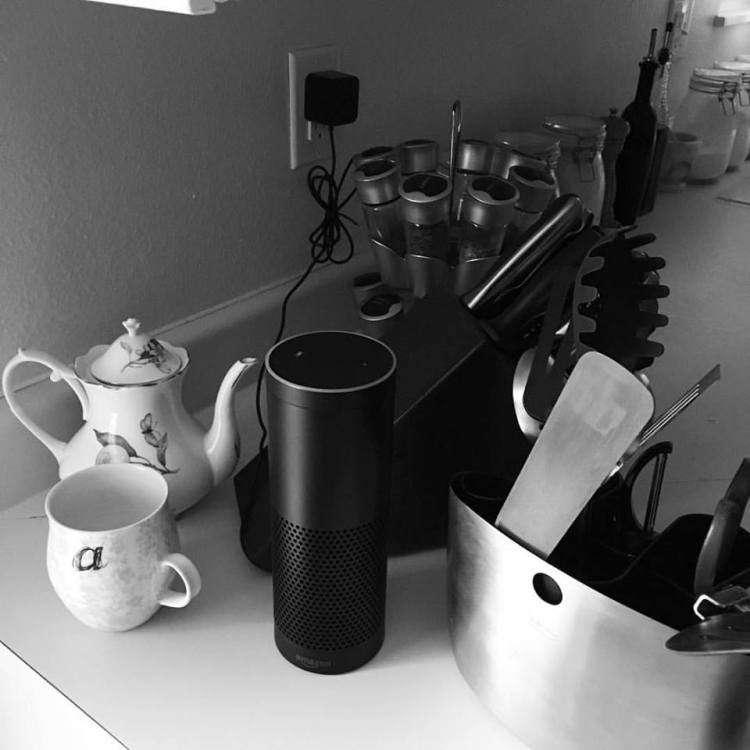 13007242_10154055713925030_4370807206480413201_n